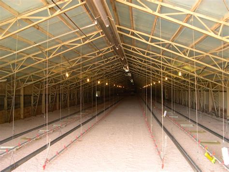 metal chicken house truss's|chicken house trusses tractorbynet.